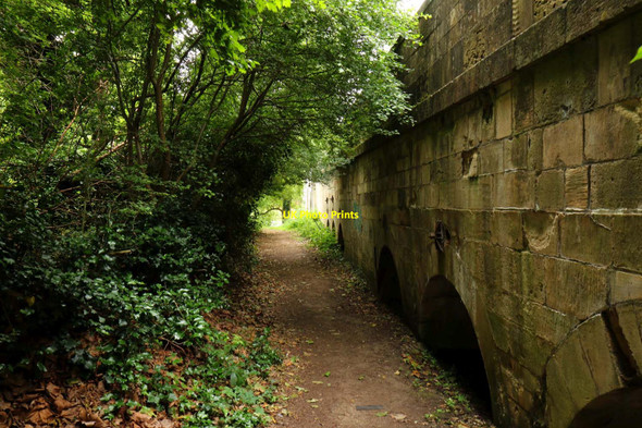 Photo 6"x4" The Thames Path by Shillingford Bridge Shillingford\/SU5992 c2016