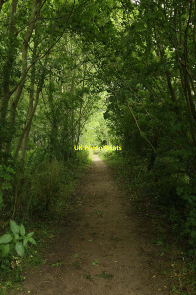 Photo 6"x4" The Thames Path at Shillingford Shillingford\/SU5992 c2016