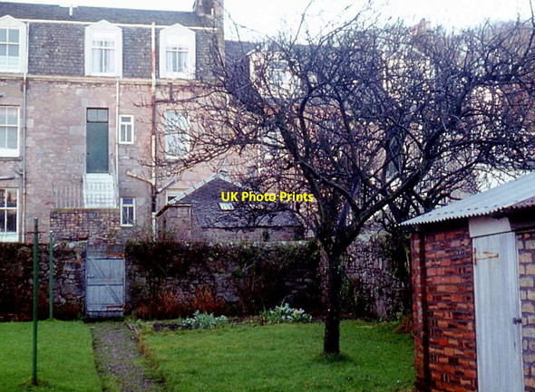Photo 6"x4" Back gardens between George Street and Glasgow Street Millport c1978