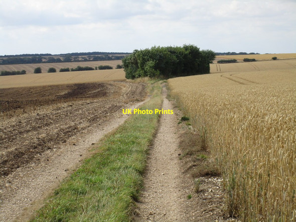 Photo 6"x4" Track to Ling Hall Farm West Heslerton c2016