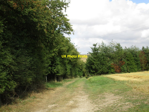 Photo 6"x4" Plantations, West Heslerton Wold West Heslerton c2016
