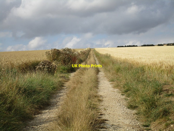 Photo 6"x4" Farm track near Helperthorpe East Lutton c2016