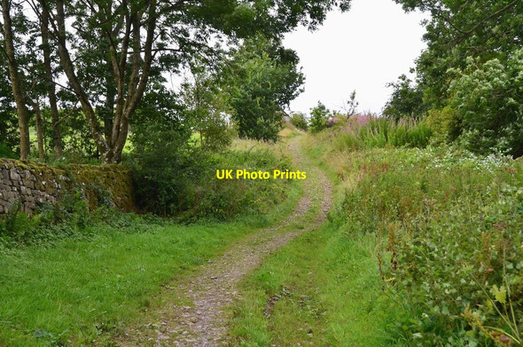 Photo 6"x4" Whita Road above Langholm Langholm\/NY3684 c2016