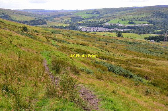 Photo 6"x4" Path on Whita Hill Langholm\/NY3684 c2016