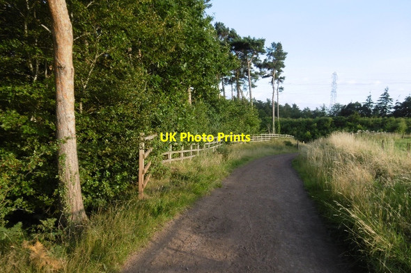 Photo 6"x4" Estate track, Dalkeith Park Dalkeith\/NT3467 c2016