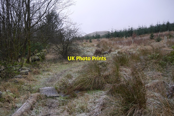 Photo 6"x4" Path, Hillfoot Dollar c2016 P1
