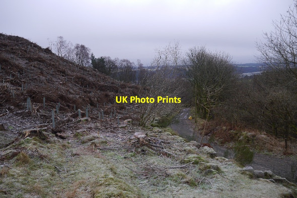 Photo 6"x4" Gloom Hill Dollar c2016 P1