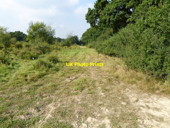 Photo 6"x4" Field edge looking north from footpath Whitehall\/TQ1321 c2016