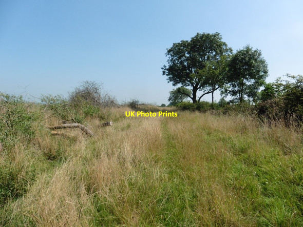Photo 6"x4" Sand Ditch Burtle Hill c2016 P1