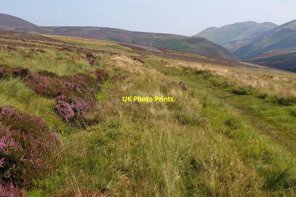 Photo 6"x4" Path on Hare Hill Silverburn\/NT2060 c2016