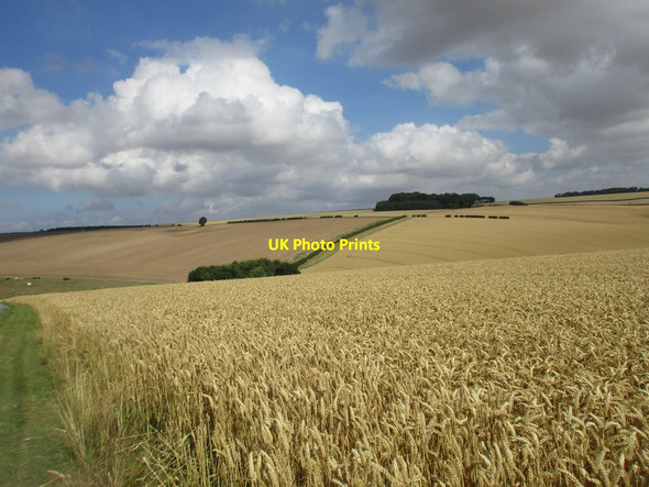 Photo 6"x4" View towards Whin Moor Farm West Heslerton c2016