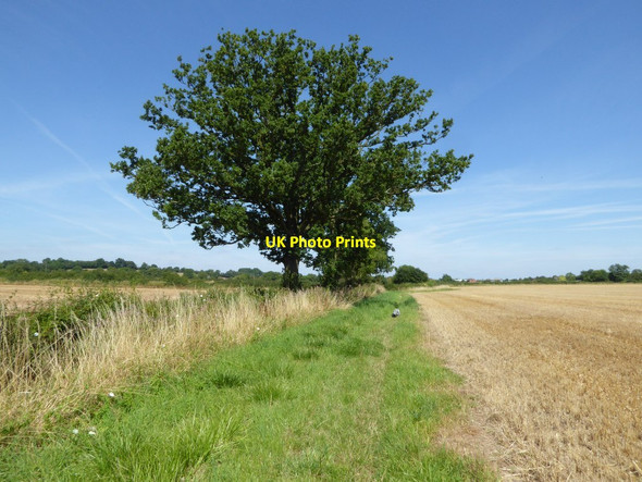 Photo 6"x4" Headland footpath Pirton\/SO8847 c2016