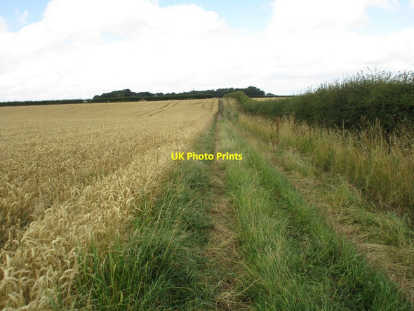 Photo 6"x4" Byway to Manor Wold Farm West Heslerton c2016