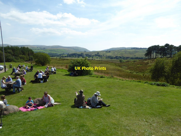 Photo 6"x4" Enjoying the sun at Tebay Services West Greenholme\/NY5905 c2016