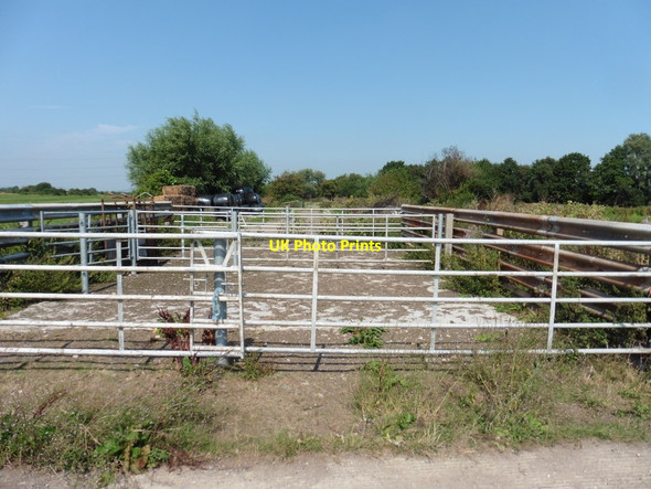 Photo 6"x4" Livestock pens on former railway trackbed Burtle c2016