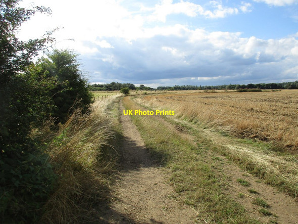 Photo 6"x4" Footpath to Ranskill Ranskill c2016