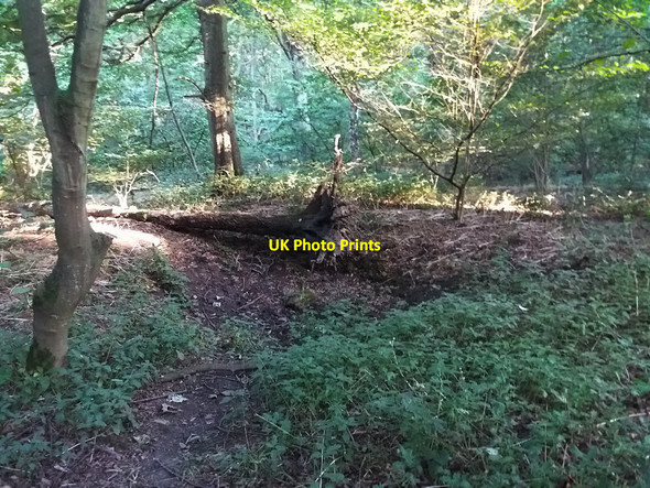 Photo 6"x4" Former bell-pit  in Middleton Woods Beeston Park Side c2016