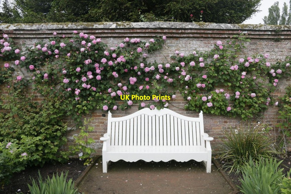 Photo 6"x4" Seat in the Roses Lower Brook c2016