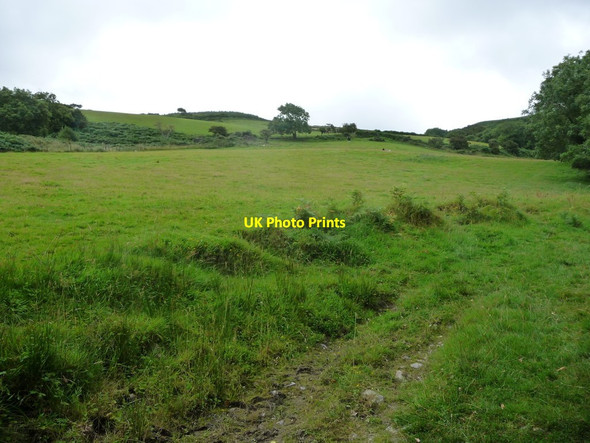 Photo 6"x4" Green fields between Glen Maye and Dalby Mountain Glen Maye\/SC2379 c2016