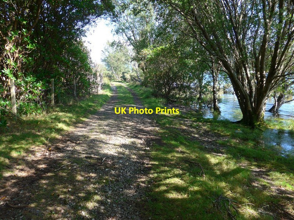 Photo 6"x4" The track to Rubha Daraich Moss\/NM6868 c2016