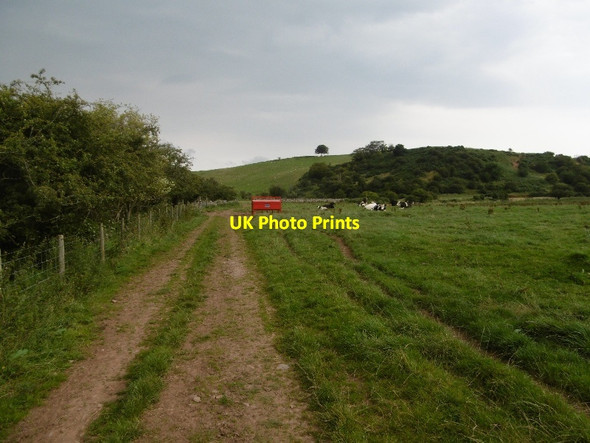 Photo 6"x4" Track, Donolly Burn Carfrae\/NT5769 c2016