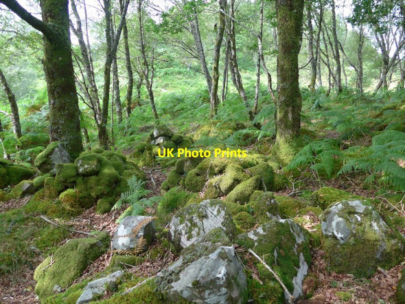 Photo 6"x4" Funerary cairns on the way to St Finnan's Isle Dalnabreck\/NM7069 c2016