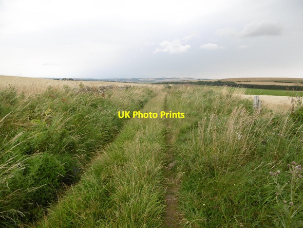 Photo 6"x4" Road on Sled Hill Carfrae\/NT5769 c2016