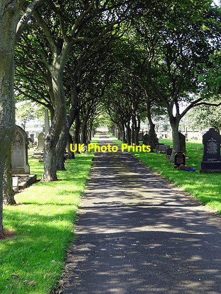 Photo 6"x4" Blyth Links Cemetery Blyth\/NZ3081 c2016