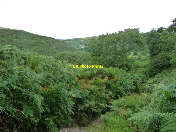 Photo 6"x4" Sound Road heading northwards to Glen Maye Ballelby c2016