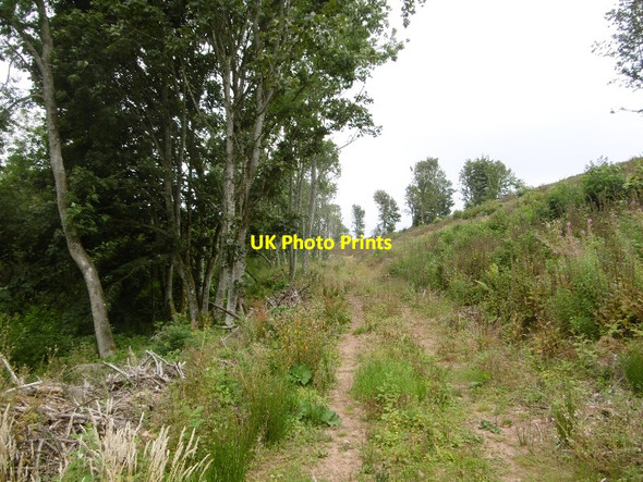 Photo 6"x4" Track beside Danskine Loch Carfrae\/NT5769 c2016