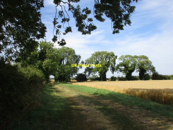 Photo 6"x4" Farm track near Atterby Atterby c2016