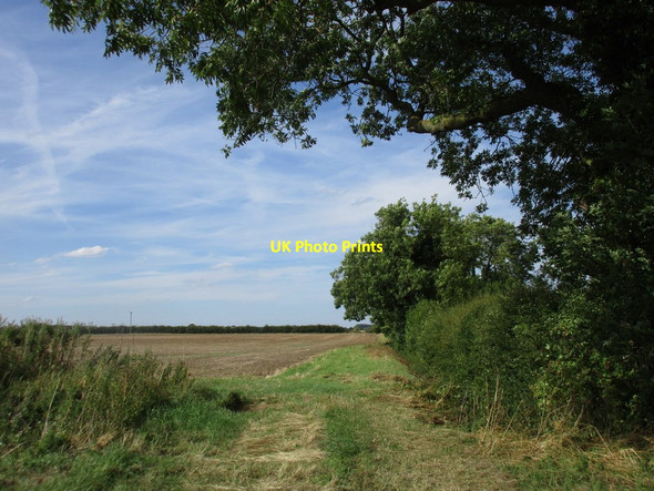 Photo 6"x4" Field edge near Atterby Atterby c2016