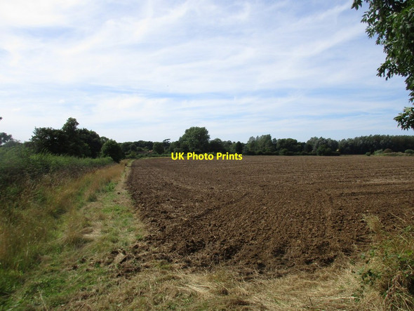Photo 6"x4" Behind the hedge on School Lane Aisthorpe c2016