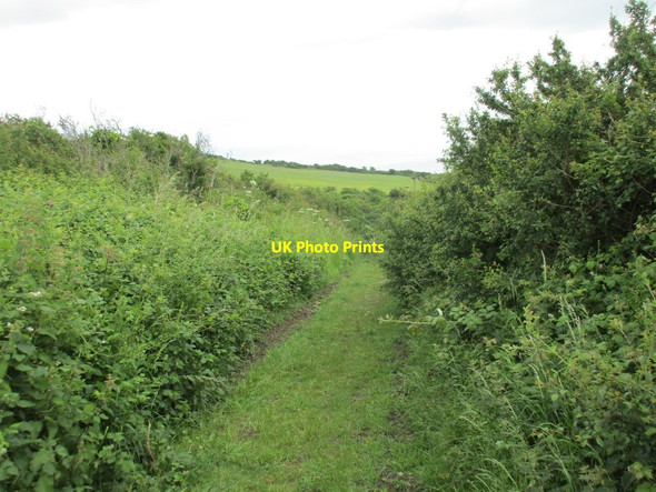 Photo 6"x4" Footpath to West Bexington Puncknowle c2016