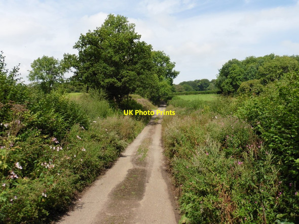 Photo 6"x4" Minor road on Hartsmoor Bolham Water c2016