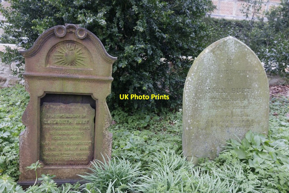 Photo 6"x4" Different Types Little Wittenham c2016