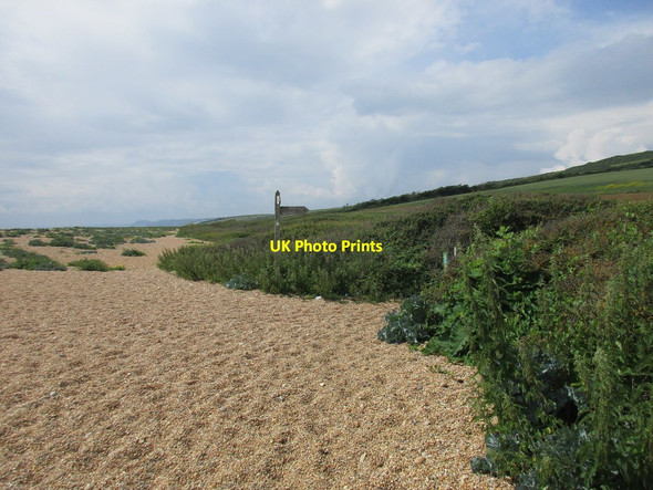 Photo 6"x4" Chesil Beach and the beginning of a footpath to Swyre Swyre\/SY5288 c2016