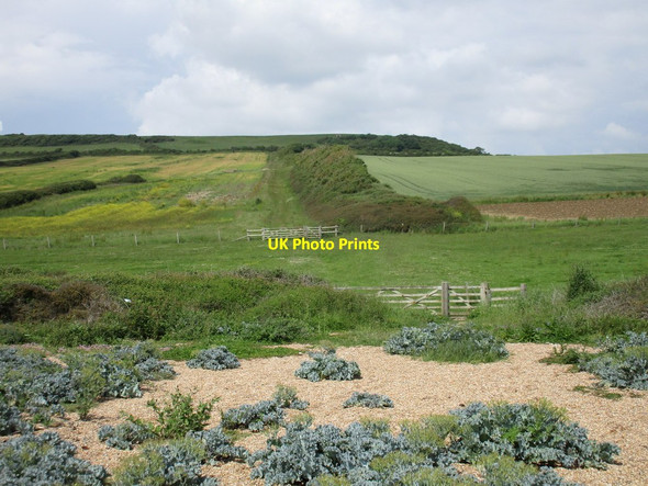 Photo 6"x4" View from the beach Swyre\/SY5288 c2016