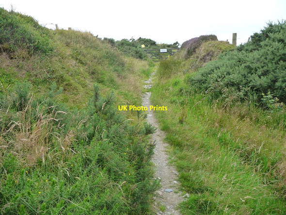Photo 6"x4" One of the infrequent gates across Sound Road Ballelby c2016
