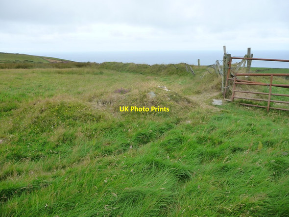 Photo 6"x4" Old field boundary, strengthened with posts and wire Ballelby c2016
