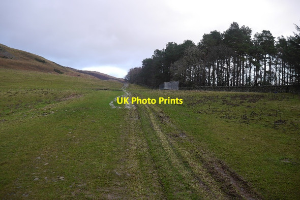 Photo 6"x4" Track to Brockhill Ettrickbridge c2016