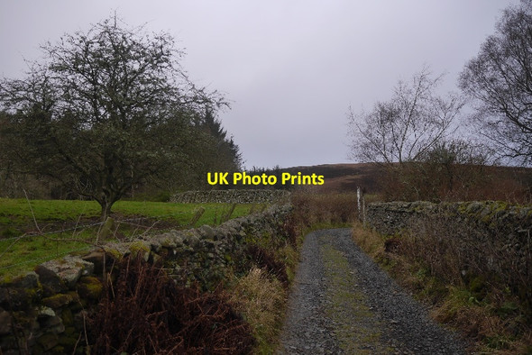 Photo 6"x4" Road, Brockhill Brockhill\/NT3924 c2016