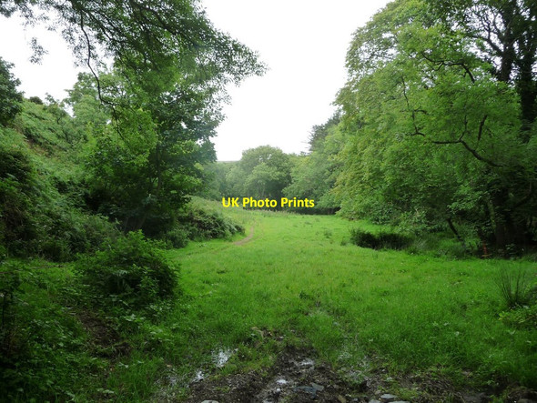 Photo 6"x4" Lagg River valley Ballelby c2016