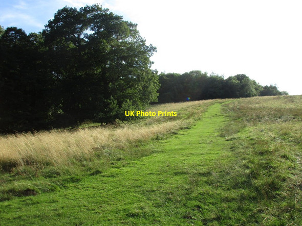 Photo 6"x4" Footpath to Sproxton Sproxton\/SE6181 c2016