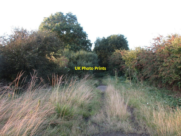 Photo 6"x4" Langton Lane North Grimston c2016