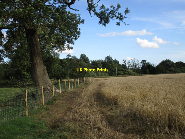 Photo 6"x4" Field edge near the River Rye Harome c2016