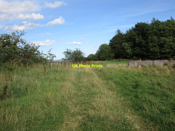Photo 6"x4" Footpath to Helmsley Sproxton\/SE6181 c2016 P1