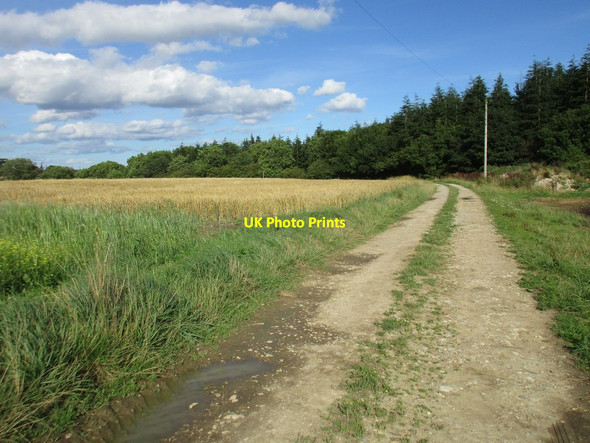 Photo 6"x4" Track to Low Parks Farm Sproxton\/SE6181 c2016
