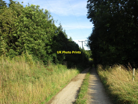 Photo 6"x4" Track to Throstle Nest Sproxton\/SE6181 c2016