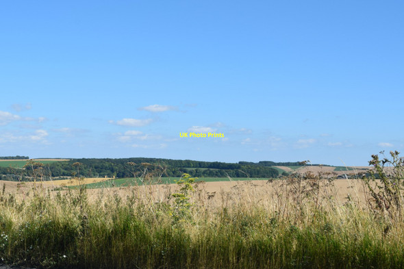 Photo 6"x4" View across Berwick Down Berwick St James c2016